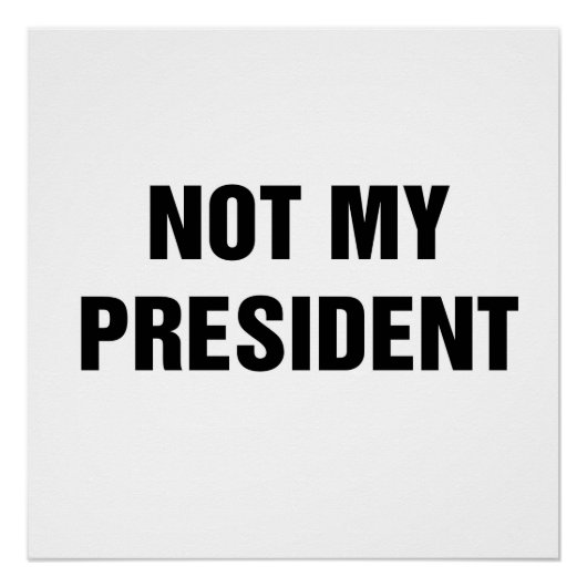 Niet mijn President Perfect Poster (Voorkant)