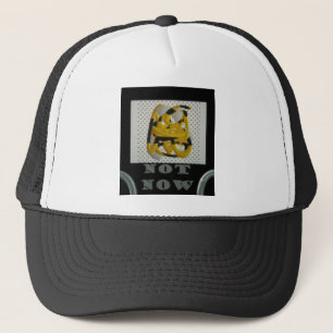 Niet nu een andere keer misschien zwart met zilver trucker pet