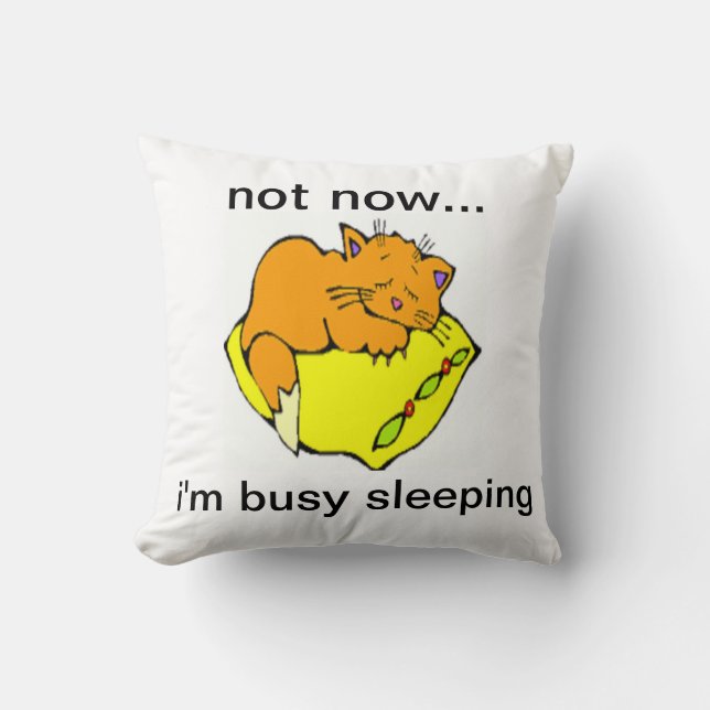 NIET NU...IK BEN BUSY SLEEPING KUSSEN (Voorkant)