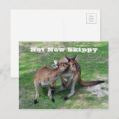 Niet nu Skippy Briefkaart (Voorkant / Achterkant)