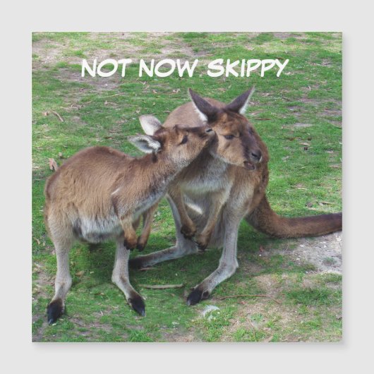 Niet nu Skippy Magnetic Kaart (Voorkant)