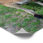 Niet nu Skippy Poster (Hoek)