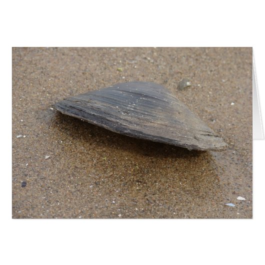 Niet opklappen (Voorkant Horizontaal)