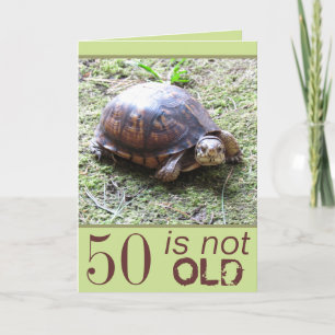 Niet Oude schildpad - - Verjaardag Kaart