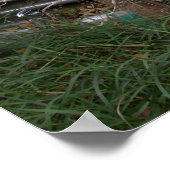 Niet overal poster (Hoek)