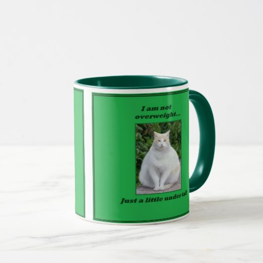 Niet-overgewicht mok katten (Voorkant rechts)