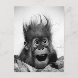 NIET PANIEK! Briefkaart