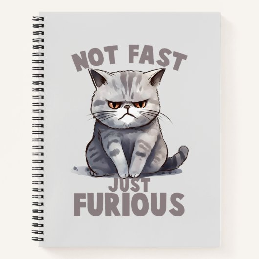 Niet snel, gewoon woedend - Grey Cat Humor Notitieboek (Voorkant)