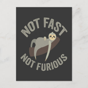Niet Snel Niet Furieus Luiaard Grappige Slogan Die Briefkaart