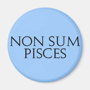 Niet-som pisces magneet