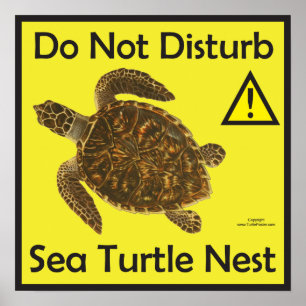 Niet storen Zee Turtle Nest Poster