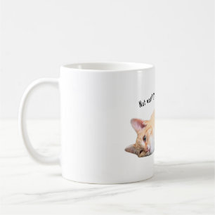 Niet tot ik mijn Coffee Cat Mok heb gehad