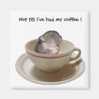 Niet tot ik mijn koffiemagneet heb magneet