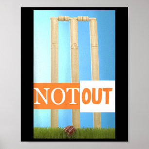Niet uit cricket trui cricket India kleuren Poster