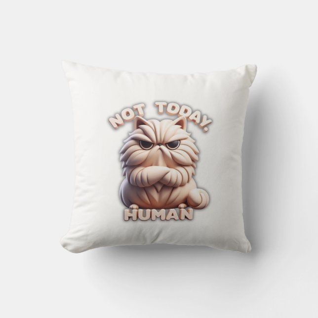 Niet vandaag Menselijke Grumpy Cat Sierkussen Funn (Voorkant)
