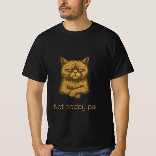 Niet vandaag Pal Cat Shirt – Grumpy Cat Lover T-sh (Voorkant)