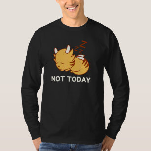Niet Vandaag Slaap Tijger Draak Kat Lui Nieuwighei T-shirt