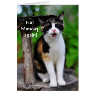 "Niet weer maandag!" Humoureus Calico Cat-kaart