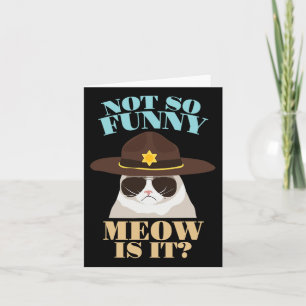 Niet zo grappig miauw is het - grappige staat troo kaart