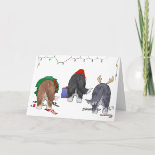 Niets anders dan een Beardie Kerstmis Feestdagen Kaart