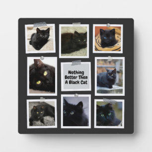 Niets beter dan een zwarte kat fotoplaat