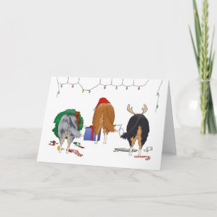 Niets dan een collie kerst feestdagen kaart