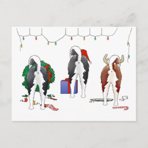 Niets dan een husky kerst feestdagenkaart