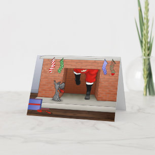 Niets dan een Schnauzer Kerstmis Feestdagen Kaart