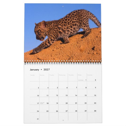 Niets dan Leopards - Agenda 2013 Kalender (Jan 2027)