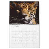 Niets dan Leopards - Agenda 2013 Kalender (Mar 2027)