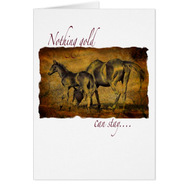 Niets Gold kan blijven (Voorkant)