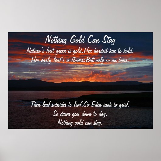 Niets Gold kan Poster blijven (Voorkant)