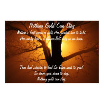 Niets Gold kan Poster blijven