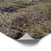 Niets Gold kan Poster blijven 7 (Hoek)