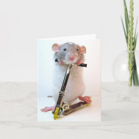 Niets is onmogelijk kaart (Voorkant)