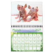 Niets, maar baby's. kalender (Mar 2027)