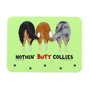Niets, maar Collies Magneet