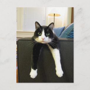 Niets te doen briefkaart