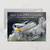 Niets te moeilijk voor de Heer Briefkaart (Voorkant / Achterkant)