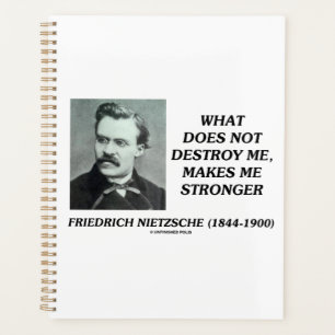 Nietzsche Ce Qui Ne Détruit Pas Me Rend Plus Forte
