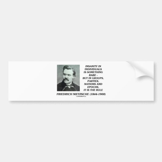 Nietzsche Insanity Rare in Individual Quote Bumpersticker (Voorkant)