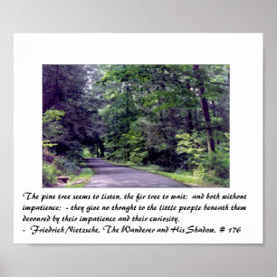 Nietzsche's bos - poster