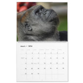 NIEUW 2026 Gorilla Kalender (Mar 2026)