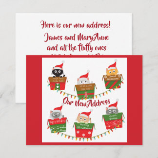 Nieuw Adres met Katten in Kerst dozen Aankondiging