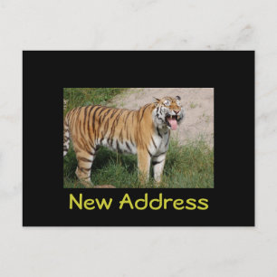 "Nieuw adres" Tiger Briefkaart
