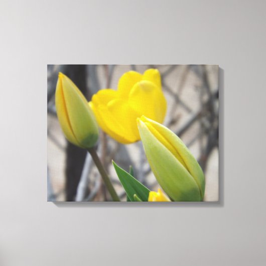 Nieuw begin canvas afdruk (Voorkant)