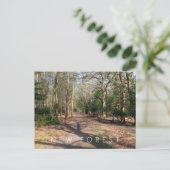 Nieuw bos briefkaart (Staand voorkant)