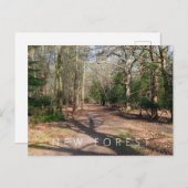 Nieuw bos briefkaart (Voorkant / Achterkant)