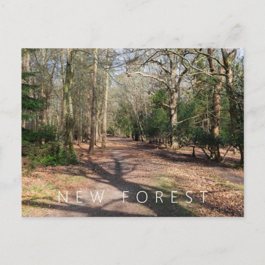 Nieuw bos briefkaart (Voorkant)