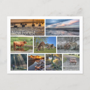 Nieuw bos briefkaart